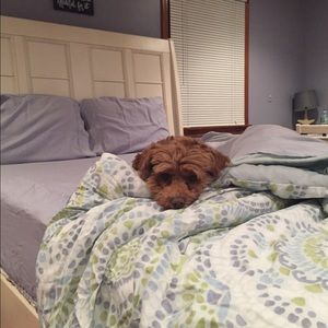 Meet your Posher, Michelle