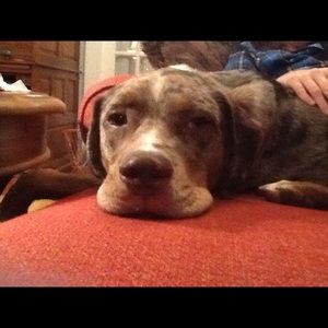 Meet your Posher, Jamie