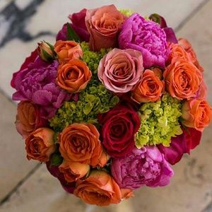 Meet your Posher, Rosa