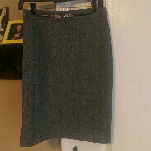 Express Pencil Skirt