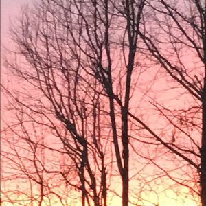 Meet your Posher, Cassie