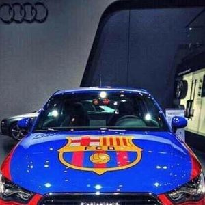 Meet your Posher, Darwin a