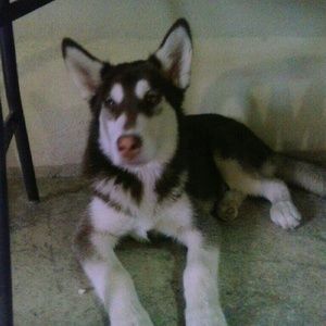 Meet your Posher, Edith