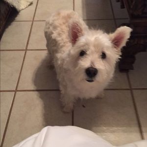 Meet your Posher, Anita