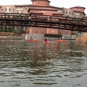 Meet your Posher, Wendy