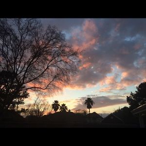 Meet your Posher, Ann