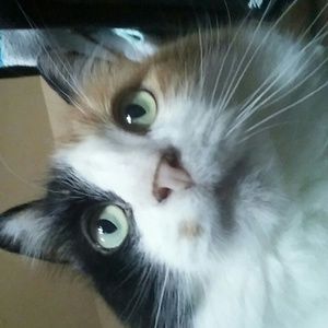 Meet your Posher, Tiffany