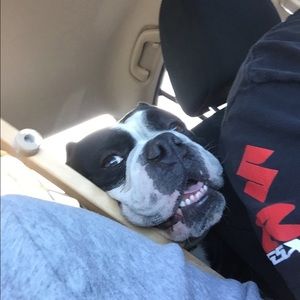 Meet your Posher, Melinda