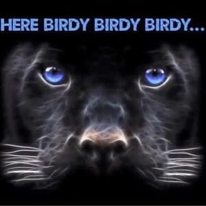 Meet your Posher, Machelle