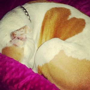 Meet your Posher, Samaria