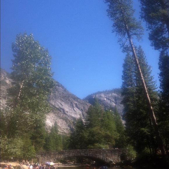 Meet your Posher, Norma - Picture 1 of 1