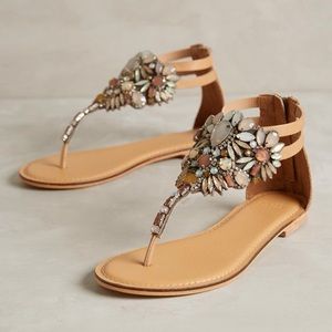 Jasper & Jeera Pomona Jewel Rhinestone Crystal NIP