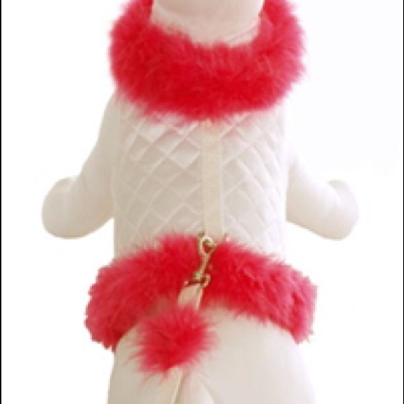 NWT Velcro dog clothes / harness. Leash included. - Picture 1 of 1