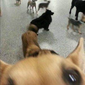 Meet your Posher, Jordan