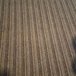 Meet your Posher, Carmen