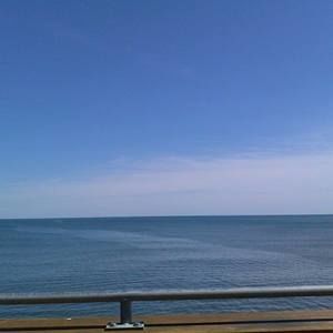 Meet your Posher, Felicia