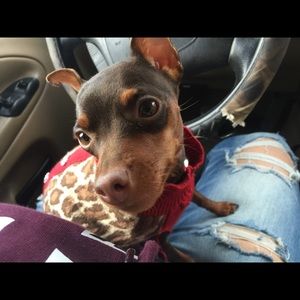 Meet your Posher, Katy