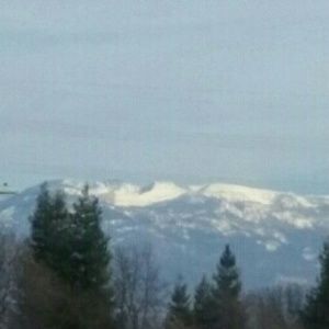 Meet your Posher, Trish