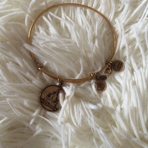 Disney world alex&ani