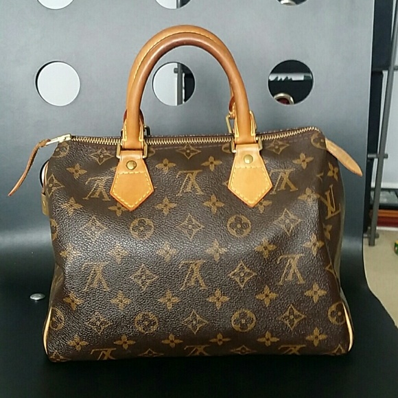 Louis Vuitton Speedy 25 Hobo Tote Bag