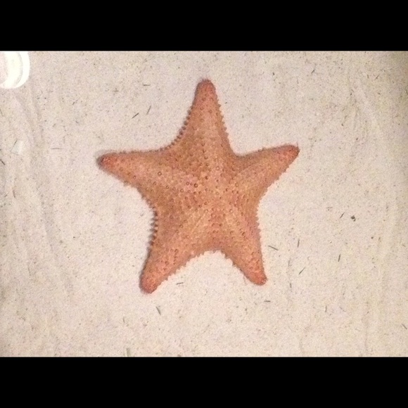 Meet your Posher, Shannon - Picture 1 of 1