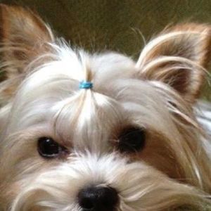 Meet your Posher, Kathy