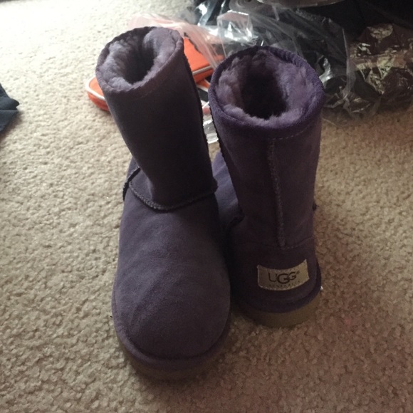 Purple Ugg boots