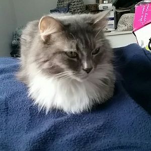 Meet your Posher, Alexis