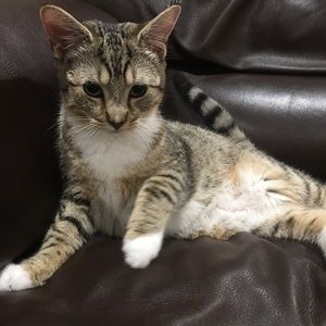 Meet your Posher, Kathy