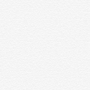 Meet your Posher, Abigail