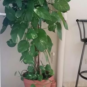 Meet your Posher, Ruby