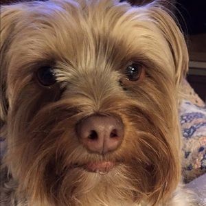 Meet your Posher, Karen