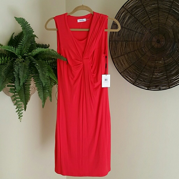 NWT Calvin Klein Poppy Dress Sz 6
