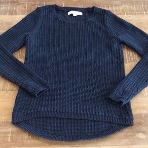 Ann Taylor Loft Navy Sweater