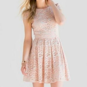 {Style Crush HP} Boutique Lace Dress