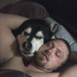 Meet your Posher, Dennis