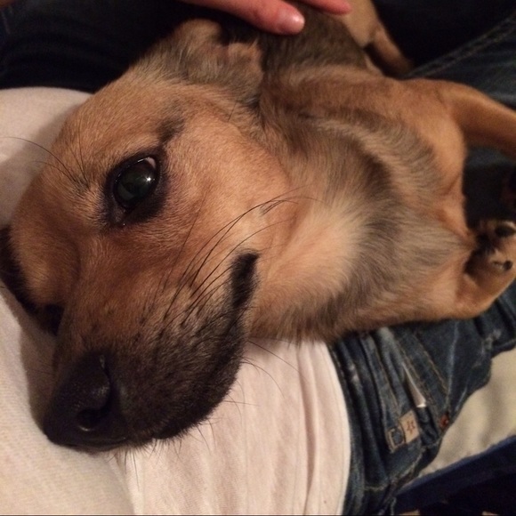 Meet your Posher, Angie - Picture 4 of 4