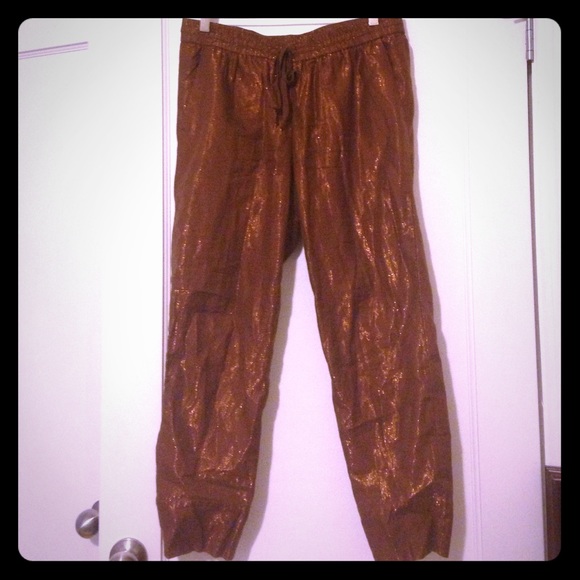 J. Crew Pants - Jcrew gold sparkly "sweatpants"