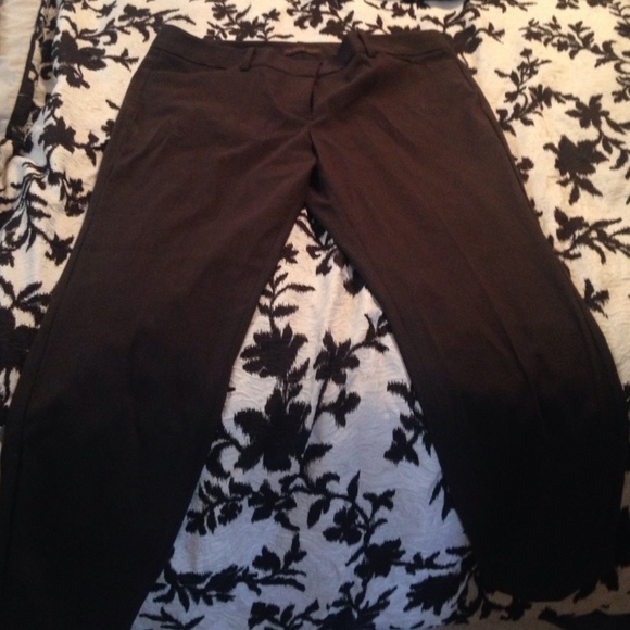 Dress pants