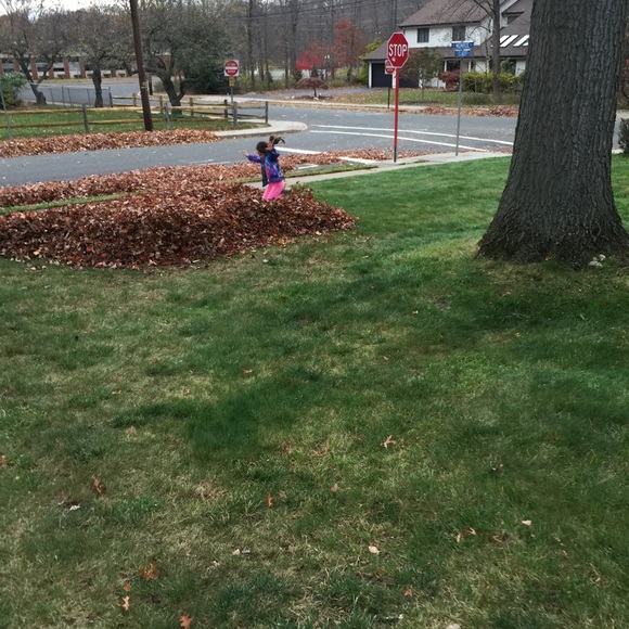 Meet your Posher, Pam