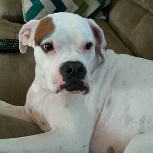 Meet your Posher, Kim