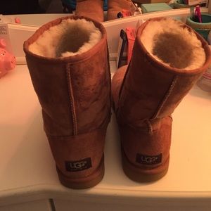 Chestnut Short Uggs