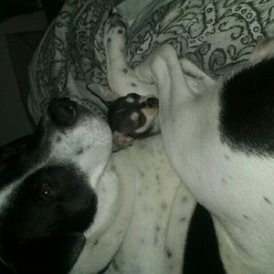 Meet your Posher, Mary