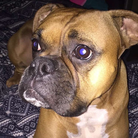 Meet your Posher, Brittany - Picture 6 of 6