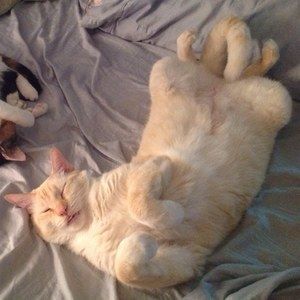 Meet your Posher, Renee