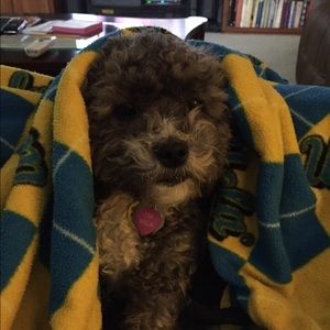 Meet your Posher, Gail