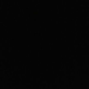 Meet your Posher, Nina