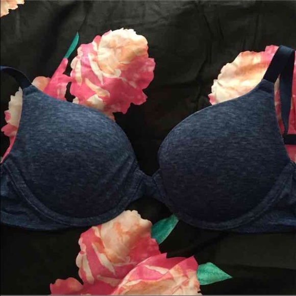 VS Pink Blue Bra