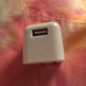 Wall adapter/plug in