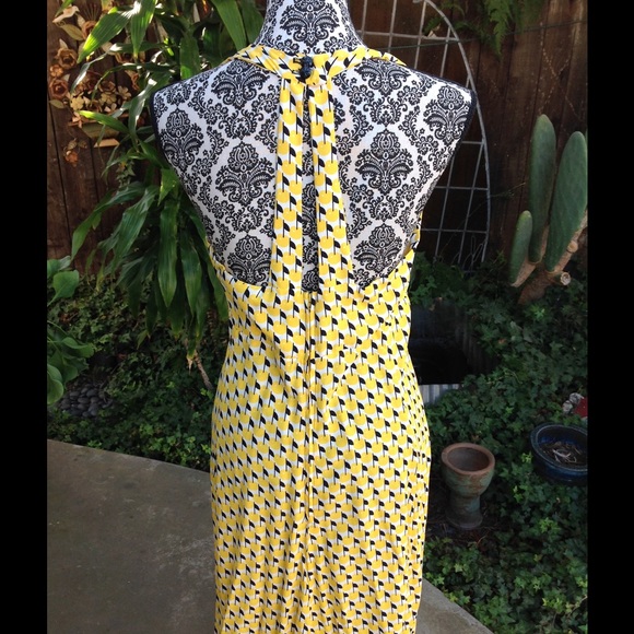 Yellow cherries? - Picture 2 of 2